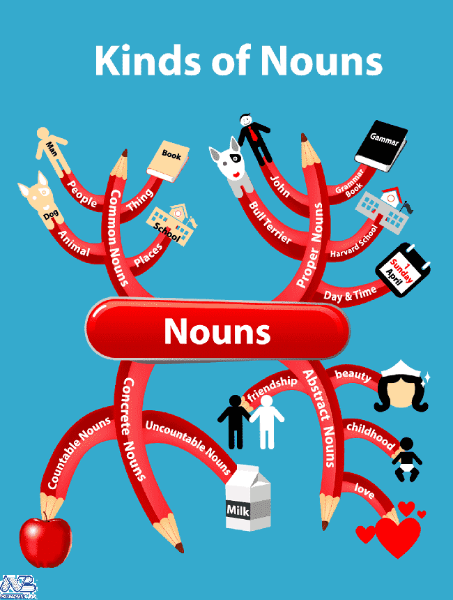انواع اسم | انواع اسم ها در زبان انگلیسی | types of nouns